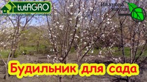 РАЗБУДИТЕ ДЕРЕВЬЯ ОТ ЗИМНЕЙ СПЯЧКИ! Что делать, если деревья или кусты не хотят просыпаться оживать