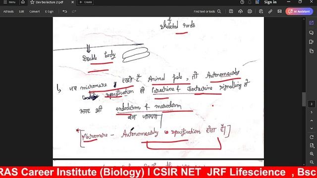 Development Biology | Lecture 21 | Sea Urchin Secondary Axis Experiment | CSIR NET LIFESCIENCE | смотреть онлайн