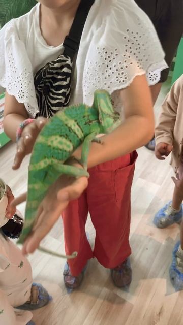 Контактный зоопарк😻￼ смотреть онлайн