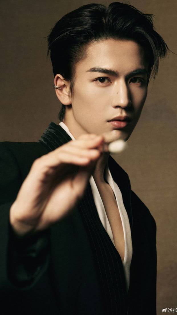 Чжан ЛинХэ, Моменты