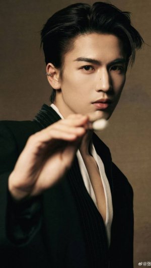 Чжан ЛинХэ, Моменты