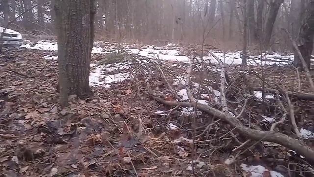 ПОХОД НА СТАВКИ смотреть онлайн