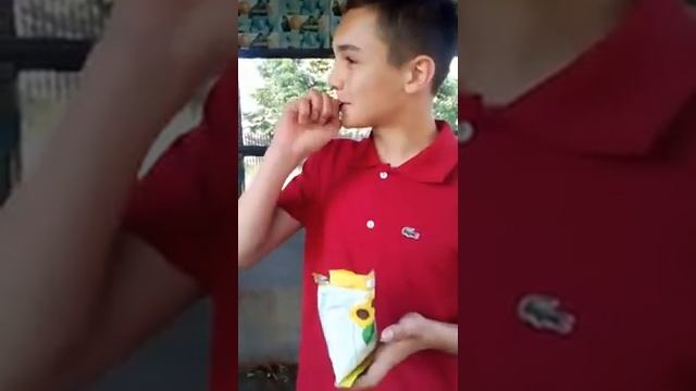 Обзор на семечки от Никиты смотреть онлайн