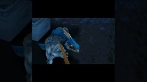 Мем Камень я не Дам