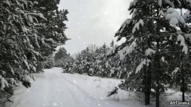 Снегопад в лесу