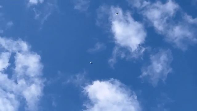 Бакинские молодые голуби начинают набирать игру.(16.05.2022) смотреть онлайн