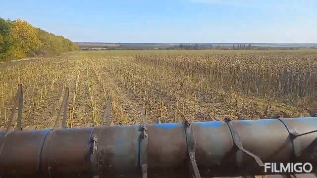 піонер 145,жнива смотреть онлайн