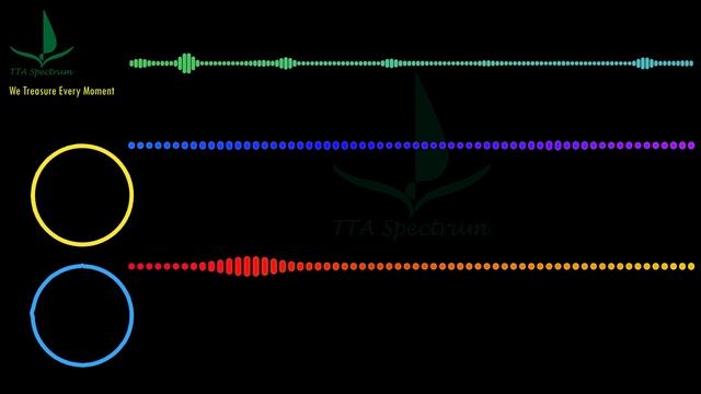 Rob Gasser - Supersonic #RobGasser #Supersonic [Audio Visualizer]#DrumAndBass#DrumNBass #TTASpectru смотреть онлайн