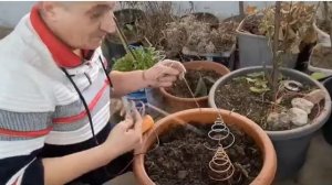 Электрокультура спиральные антенны.mp4