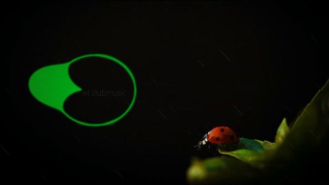 🍃 New Heights Ragga Jungle Drum And Bass Mix