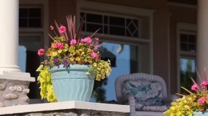 Vintage Rock 'n' Roll A Musical Journey Through the 50s & 60s 🚗🎶