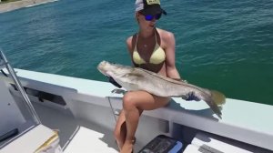 Как правильно ловить Снука. Рыбалка в штате Флорида #fishing