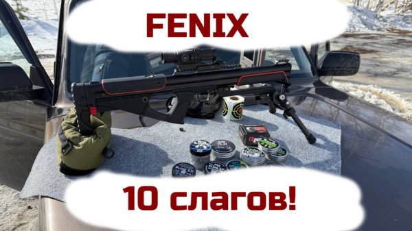 EdGun Fenix отстрел 10 видов слагов!