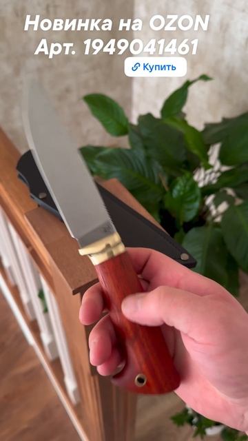 Новый нож на OZON арт 1949041461 смотреть онлайн