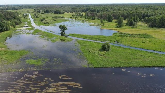Dolina Zielawy смотреть онлайн