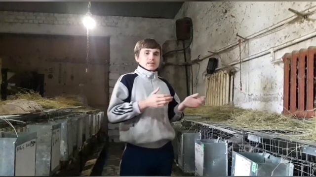 Сарыкольский кролик смотреть онлайн