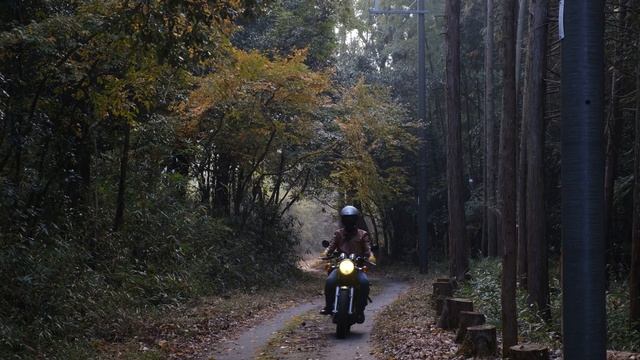 [YAMAHA SR400] バイク工房Green teaと緑茶 | 眺めの良い茶畑で緑茶をいただく。 | タイヤ交換 | ブロックタイヤ | Dunlop K560 смотреть онлайн