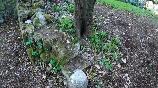 Gli strani ruderi vicino all’ingresso di Via Salaria смотреть онлайн