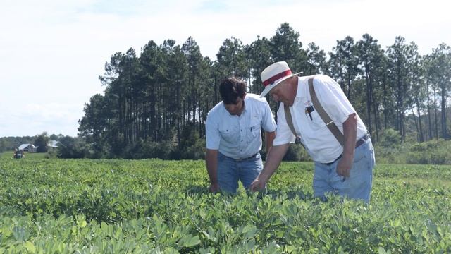2020 Research Report Day смотреть онлайн