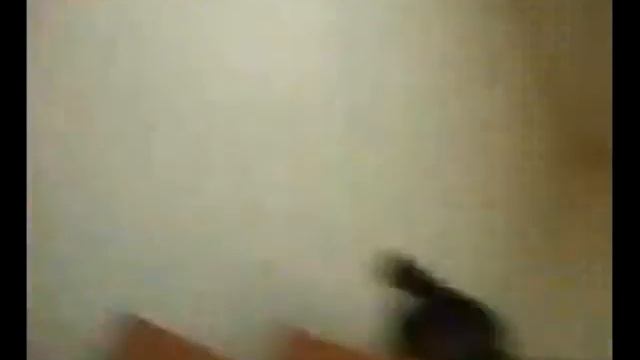 смешно п.ц смотреть онлайн