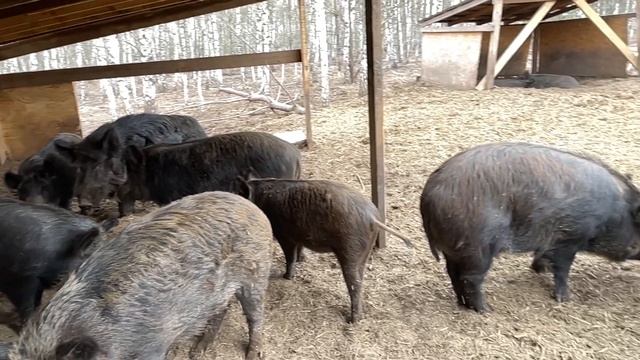 18+ смотреть онлайн