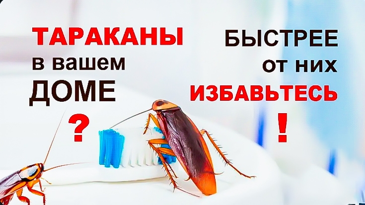 НАРОДНЫЙ РЕЦЕПТ. КАК НАВСЕГДА ИЗБАВИТЬСЯ ОТ ТАРАКАНОВ.