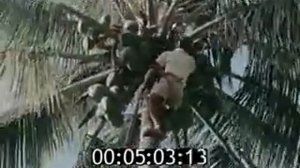 Киножурнал "Хочу всё знать" - Выпуск № 38 - 1964 год