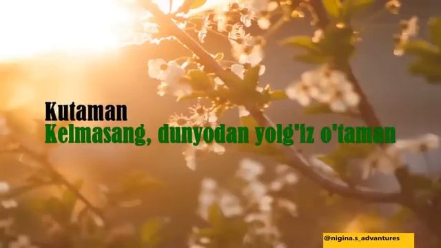 O'lmas Olloberganov - Kutaman (lyrics/qo'shiq matni/tekst) смотреть онлайн