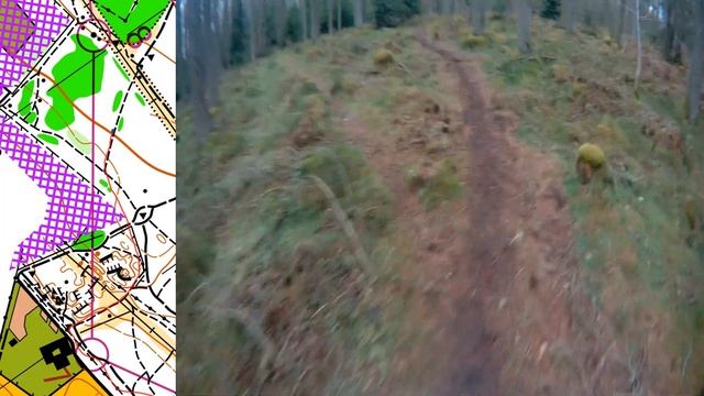Forest Sprint Orienteering, Foggieton Scotland, UK - Head Cam