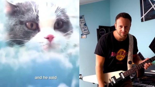 The Kiffness x Spaul TOP 10 CAT songs ( Singing Cat)