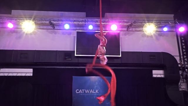 Решульская Виктория - Catwalk Dance Fest IX[pole dance, aerial] 1.12.19. смотреть онлайн