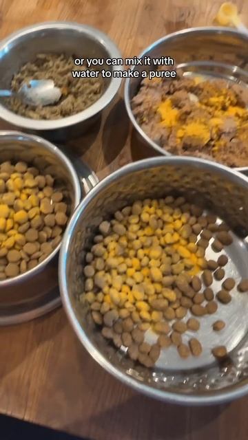 Pumpkin Powder Helps Regulate Your Dog’s Bowel Movements, Eases Constipation Or Diarrhoea, And Supp