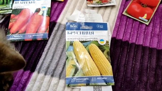 12.05.24р.Покупки. Розпаковка.Мясо,насіння.Ціни в  Недригайлові#сумщина #розпаковка#покупки #насінн