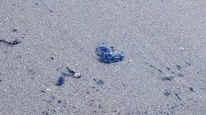 В Анапе продолжают очищать пляжи от мазута