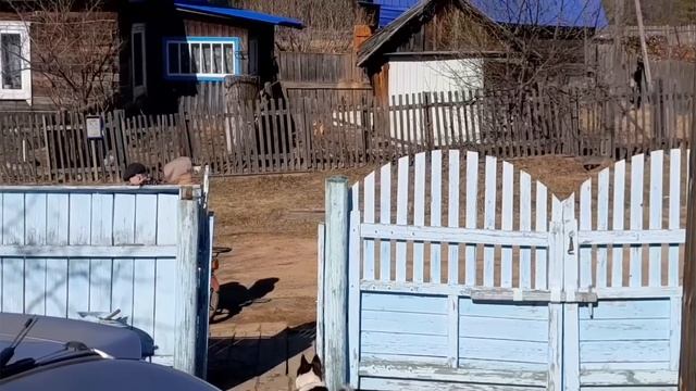 СЕЛЬСКИЕ БУДНИ