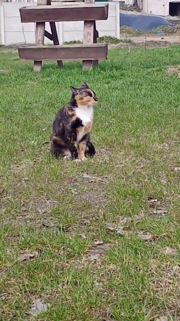 1 maja 2023 смотреть онлайн