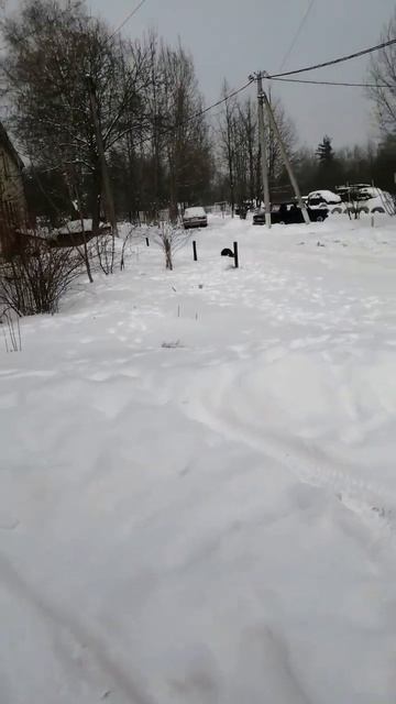 погода 21.02.2023 смотреть онлайн