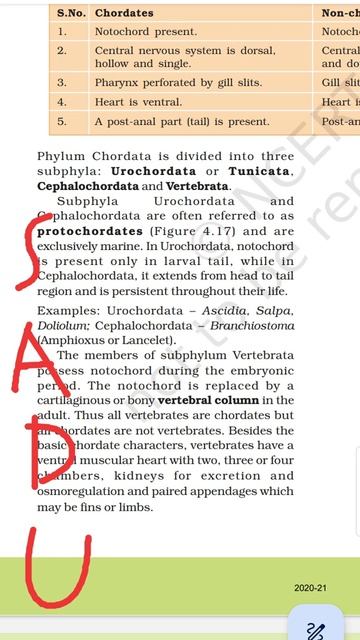 tricks to learn animal kingdom 🔥💯 examples of urochordata 🥰 смотреть онлайн