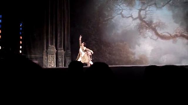 Ballet Teatro Municipal de Santiago 3 смотреть онлайн