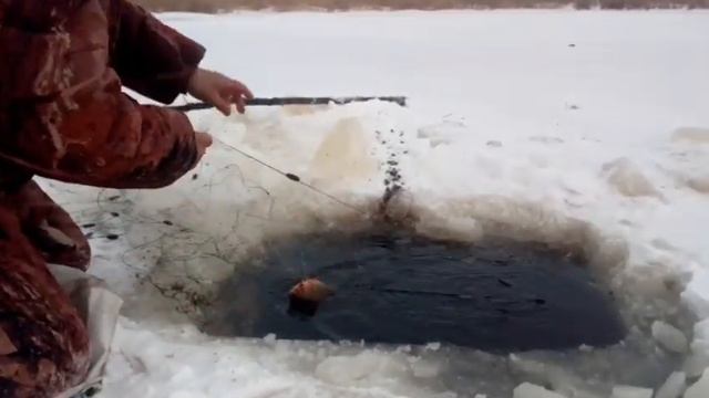 РЫБАЛКА НА СЕТИ , как ставить сеть и проверять одному без напарника, золотистый карась смотреть онлайн