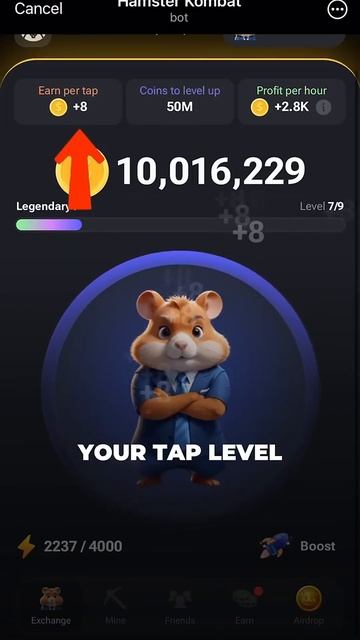 Уровень НАЖАТИЯ (Multitap) #HamsterKombat в Telegram - КАК ПРОКАЧАТЬ? смотреть онлайн