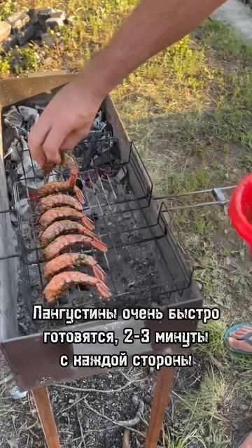 Как приготовить шримп ролл на мангале🤤 #shorts смотреть онлайн