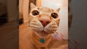 уиииииииииииииииииии