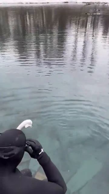 🔥Если хочется нырять, то зима не помеха 😁 смотреть онлайн
