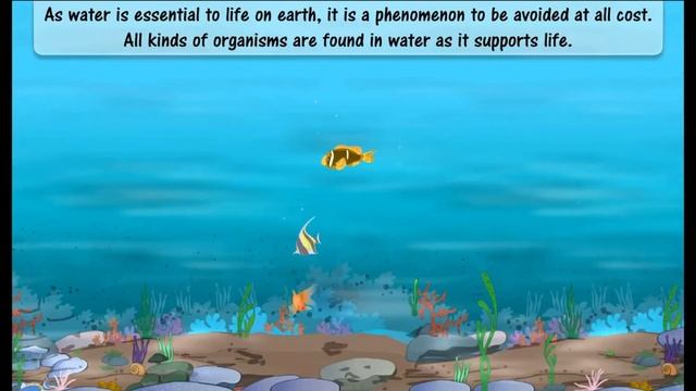 New Trends in English Reader When Wishes Come True | Evergreen Publications | 2022 смотреть онлайн