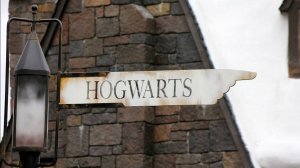 Relax video 34 / Hogwarts