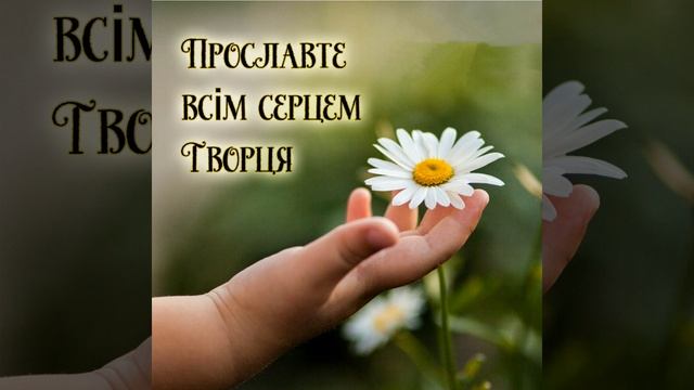 Синичка смотреть онлайн