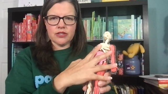Squishy Human Body from PaperPie & SmartLab Toys смотреть онлайн