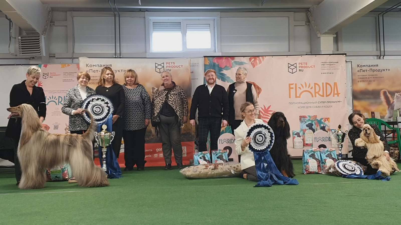 15.03.2025, СПб. Клуб "АЛЛЕН" (РКФ, ОАНКОО). Выставка собак всех пород "ОГНИ ПОБЕДЫ" смотреть онлайн