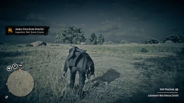 Red Dead Online - Legendary Red Streak Coyote смотреть онлайн